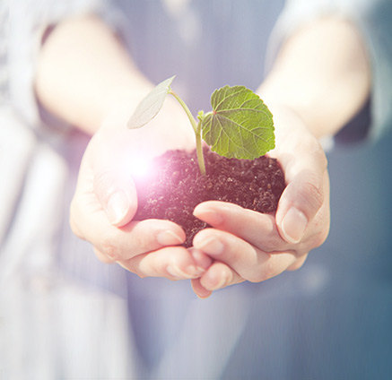 亚游集团·ag8(中国游)官网 -只為非同凡享