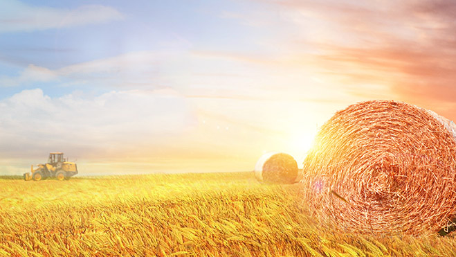 亚游集团·ag8(中国游)官网 -只為非同凡享